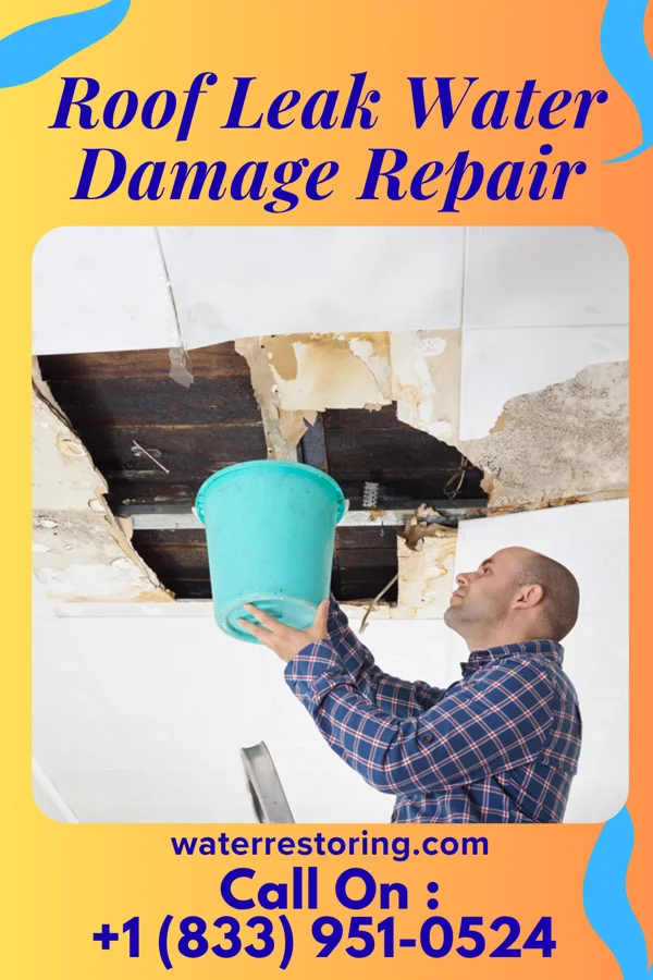 Roof Leak Water Damage Repair in Winnett, MT